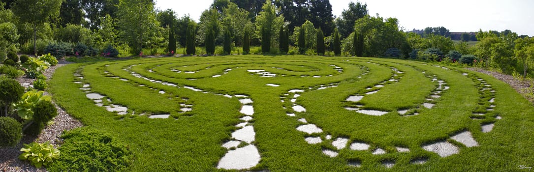 A stone pathway in a zen garden