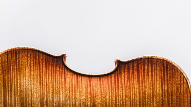 Stringed Musical Instrument, a violin on a white - grey background.