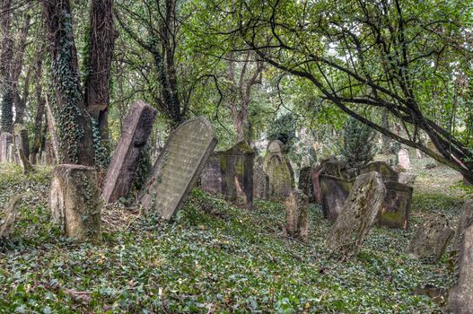 The Old Jewish cemetery at Kolin - one of the oldest landmarks of that kind in Bohemia. The beginning of the cemetery dates back to the 15th century. The oldest tombstones  are from 1492. There are over 2600 tombstones on the cemetery. For example: tombstone of Becalel, son of Jehuda Low.
Kolín, Czech republic, Europe.