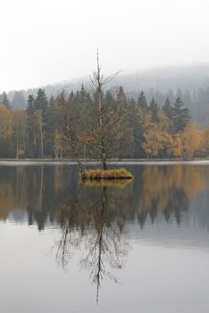 Floating small island on the lake - Kladska peats -Glatzener Moor -  is a national nature reserve in Slavkov Woods - protected landscape area. Slavkov Forest - Kaiserwald  is geomorphological unit in the northern part of the Carlsbad Highlands. Kladska, Czech republic.