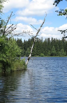 Pond in the Natural Preserve  Kladska peats - national nature reserve in Slavkov Woods - protected landscape area. Slavkov Forest - Kaiserwald  is geomorphological unit in the northern part of the Carlsbad Highlands. Kladska, Czech republic.