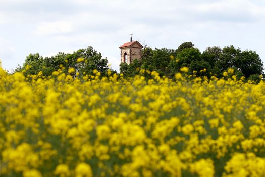 Image of the ruins of the Church of St Wenceslas, Hrusovany, Czech republic