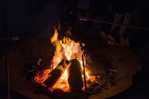 heating and warming sweet marshmallow in the campfire