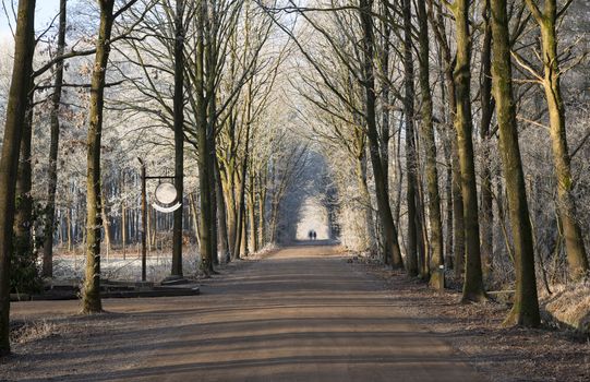 couple walking on path in winter forest with ice on the trees