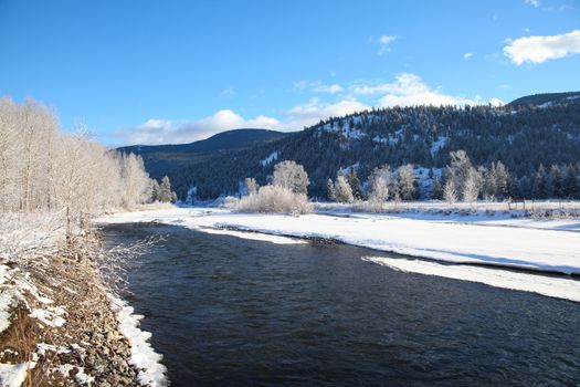 Frozen river with trees and mountain in the background