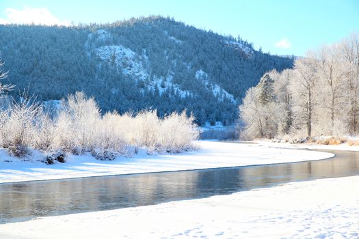 Frozen river with trees and mountain in the background