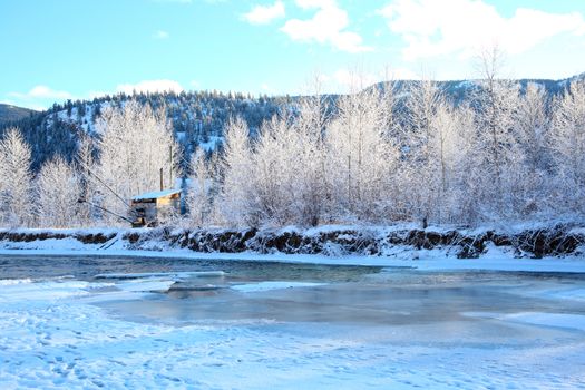 Frozen river with trees and mountain in the background