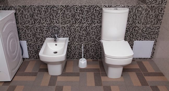 white toilet bowl and bidet in a bathroom