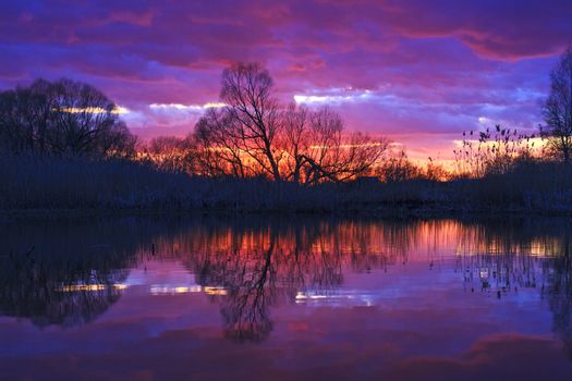 bright sunset on a wild lake in lilac tones,spring, tree over the water, reflection, silhouette