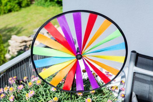 Colourful colorful pinwheel in a flowerpot.