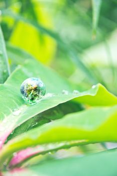 abstract image of small world in nature, Environment Conservative concept