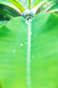 abstract image of small world in nature, Environment Conservative concept