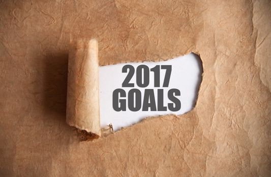 Torn piece of scroll uncovering 2017 goals 
