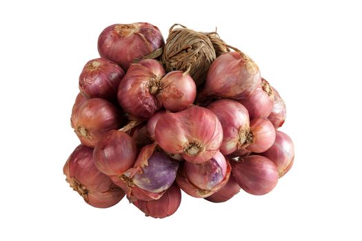 shallots growing on a white background. onion bulb season herb vegetable ingredient. Isolated On White, objects with clipping paths.