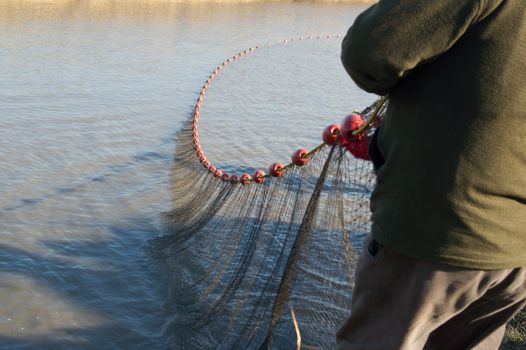 The fishermen's nets would be the carp in the lake.