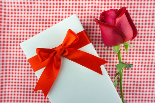 Red rose with message card. Image of Valentines day.