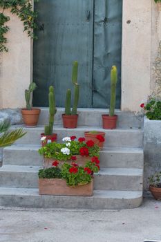 Mediterranean motif, stone staircase with flower pots and cacti