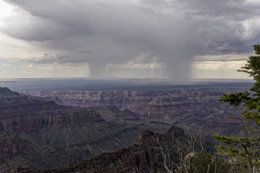 Rain falling on a distant plateau at the Grand Canyon