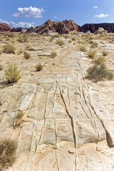 Grooves in the desert floor in Nevada.