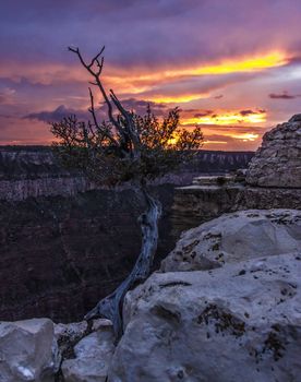 A sunset visible from the North Rim of the Grand Canyon.