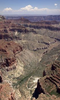 A vertical shot of the Grand Canyon.
