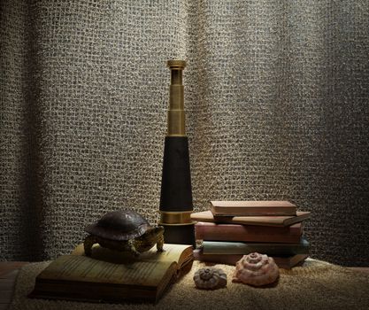 Seashell's in interior scene with turtle, books and telescope concept photo background