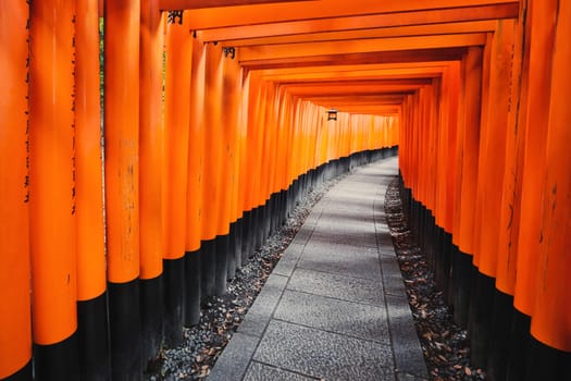 vermillion Torii path at Fushimi Inari Taisha Shrine in Kyoto, Japan