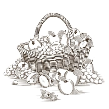 Fruit basket on white background in woodcut style.