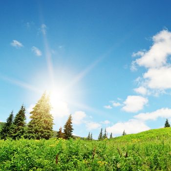 sunrise in the mountains in summer