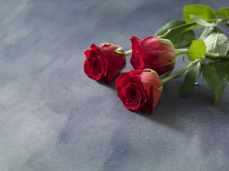 Celebration or wedding. bouquet of red roses on a grey blue background.