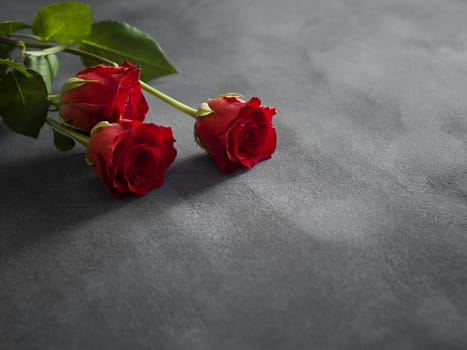 Composition of roses on a grey textured background