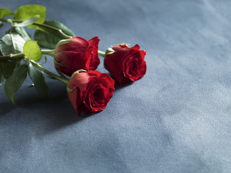 Decorative red fresh red roses on greyblue background. Selective focus. Place for text. 