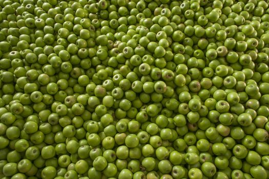 Green and juicy granny smith apple pile at the local farmers market. Texture of colored apples.