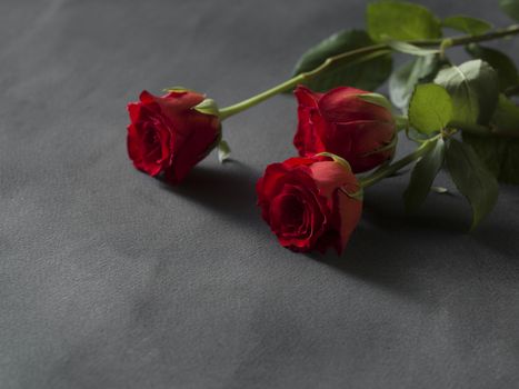Red roses arrangement for a funeral on a grey background