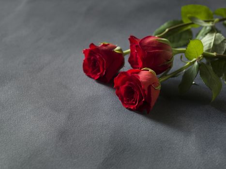 Red roses in a bunch on a grey background with space for text
