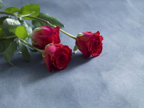 wedding concept with fresh red roses on blue slate background. Selective focus.
