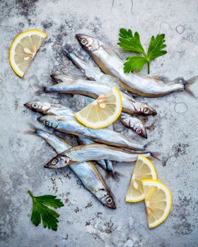 Fresh catch Shishamo fish fully eggs flat lay on shabby metal background. Shishamo fish is popular fish for Japanese cuisine cooking Tempura. Fresh Shishamo fish tempts buyers at fresh seafood stall.