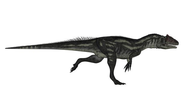 Allosaurus dinosaur unning isolated in white background - 3D render