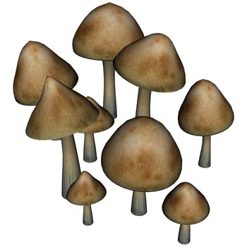 Mushrooms isolated in white background - 3D render