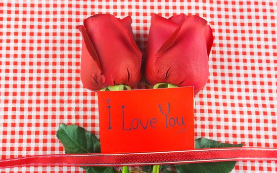 Red rose with message card. Image of Valentines day.