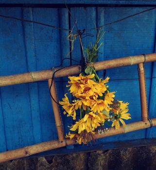 Vintage background with apologize for break up of love, hurt, sorry text and missing, concept from wild sunflower on rustic blue wooden background