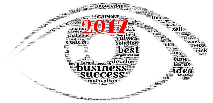 Business 2017 word cloud concept in human eye shape