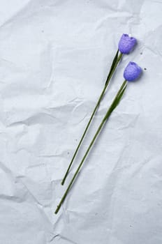 Two violet flowers on a recycled paper as a back ground.