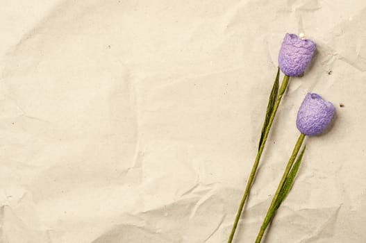 Two violet flowers on a recycled paper as a back ground.