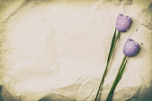 Two violet flowers on a recycled paper as a back ground.