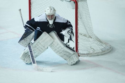 St. Petersburg, Russia, December 11, 2016 Hockey goalkeeper Anton Yanin hockey club Dynamo St. Petersburg