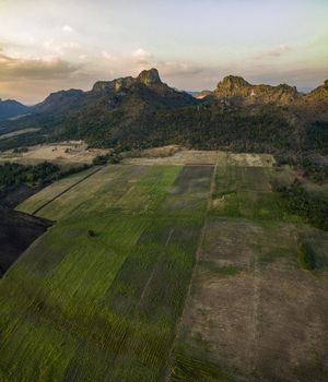 aerial view of agricultural field in lopburi central of thailand