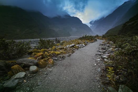 trail in franz josef glacier southland new zealand