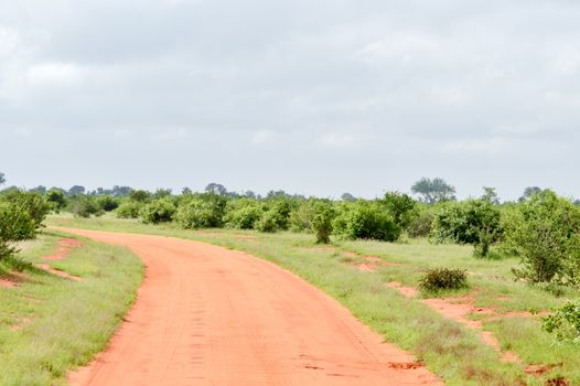 Red earthen track in East Tsavo Park, Kenya