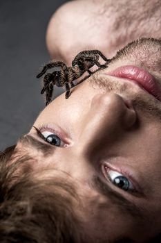 Portrait of a Young Handsome Man with Big Spider on His Face